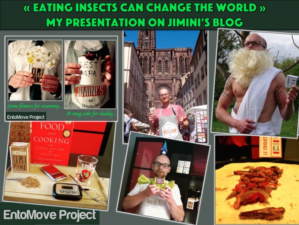 eating insects entomophagy blog jiminis