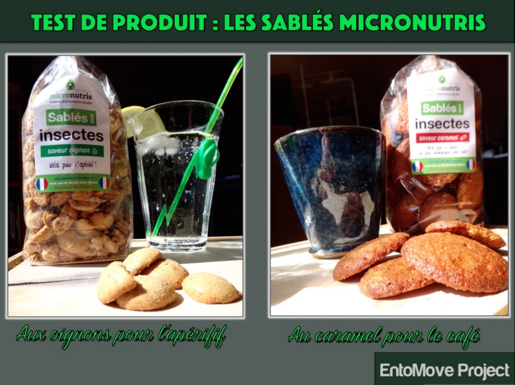 micronutris gateaux insectes comestibles