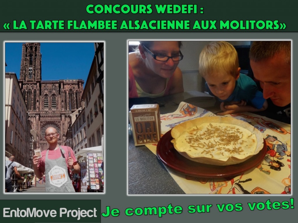 wedefi jiminis strasbourg tarte flambée edible insectes comestibles recette cuisine - 1