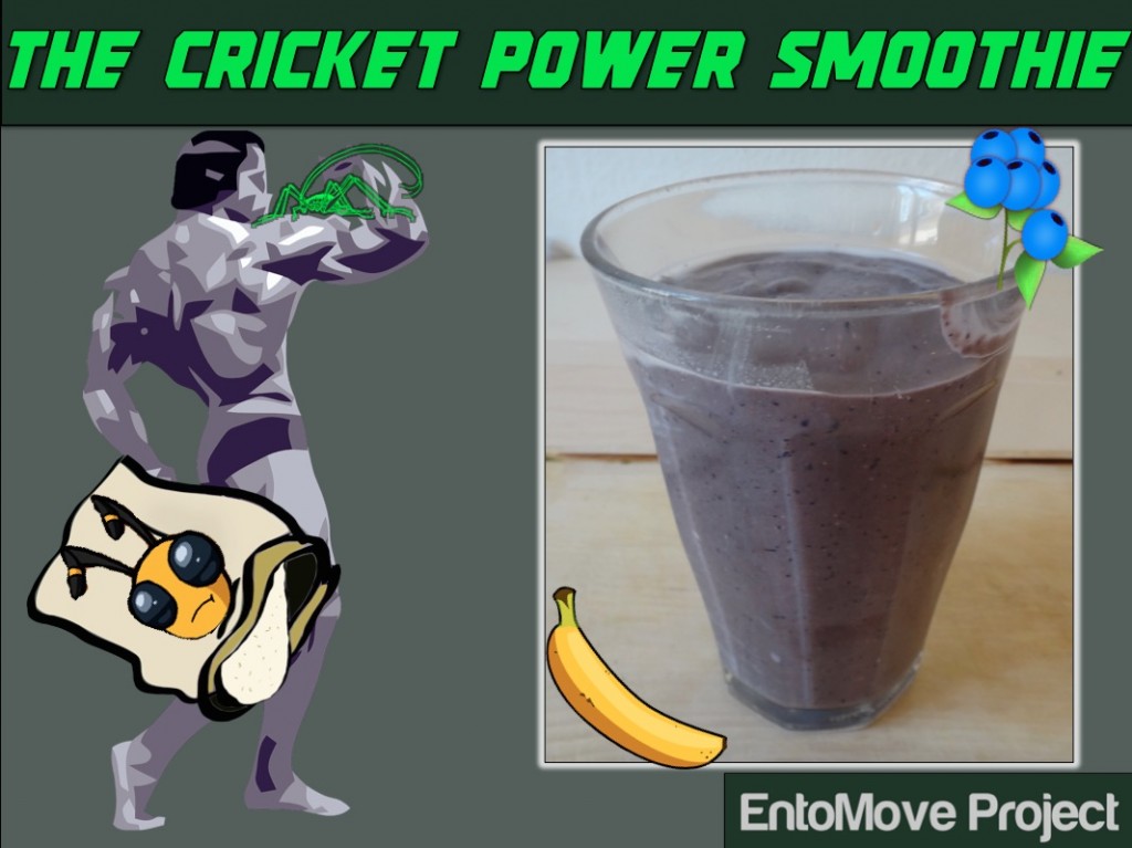 Edible insects cricket powder cricket flour fitness bodybuilding nutrition