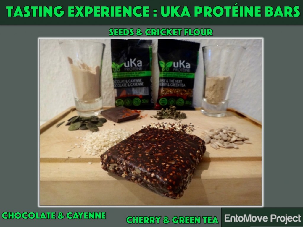 cricket flour energy bars insect protein