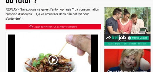 Insectes comestibles alimentation du futur rtl