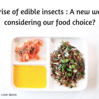 Edible-insects-healthy-tasy-sustainable-Livin-farms