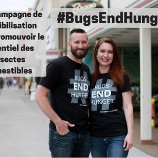 campagne insectes comestibles entomophagie