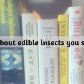 best edible insects books entomophagy